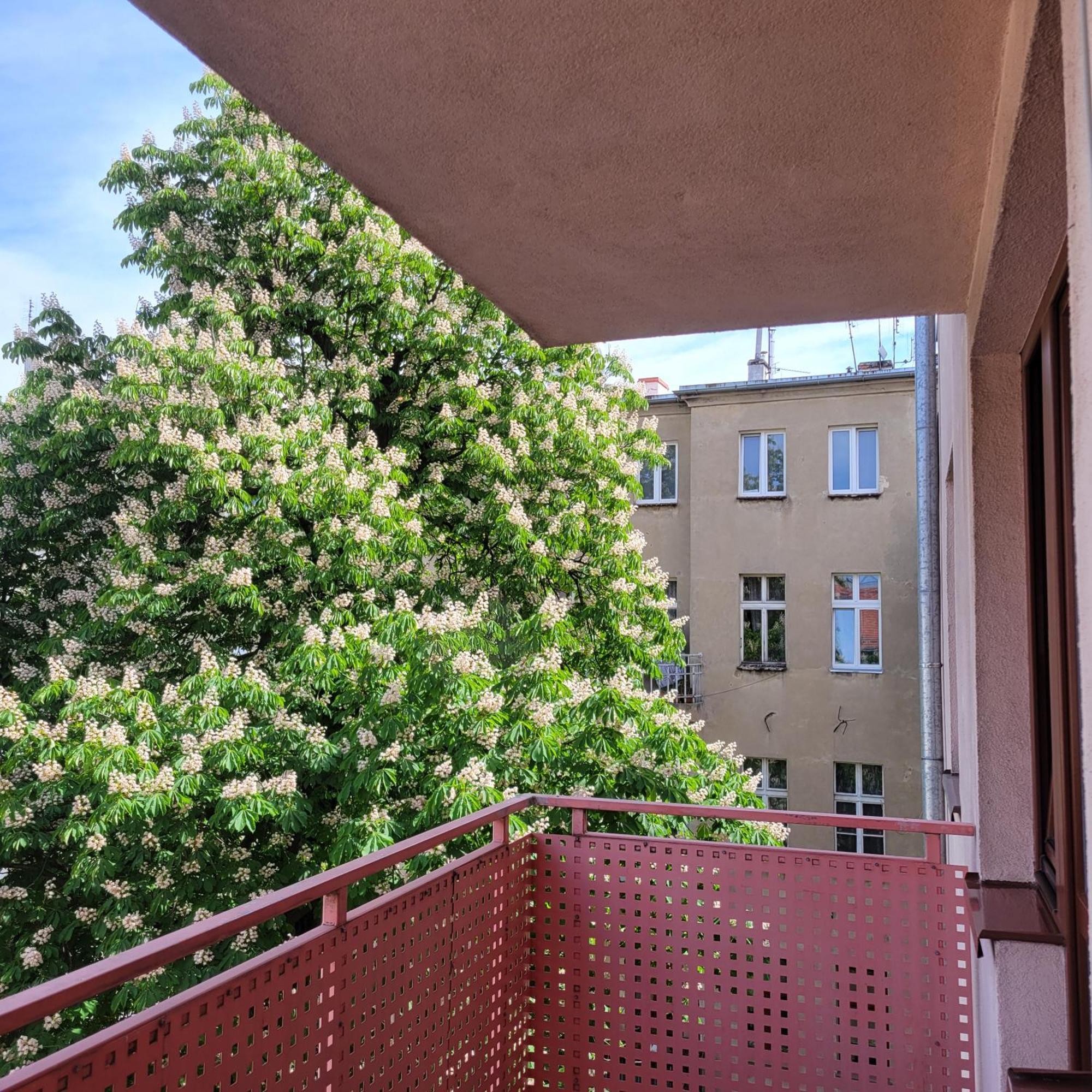 Aura Apartment Вроцлав Екстериор снимка